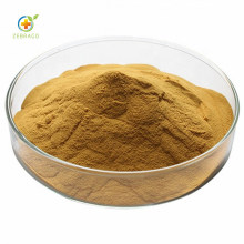 Manufacturer Supply Pure Golden Needle Mushroom Extract